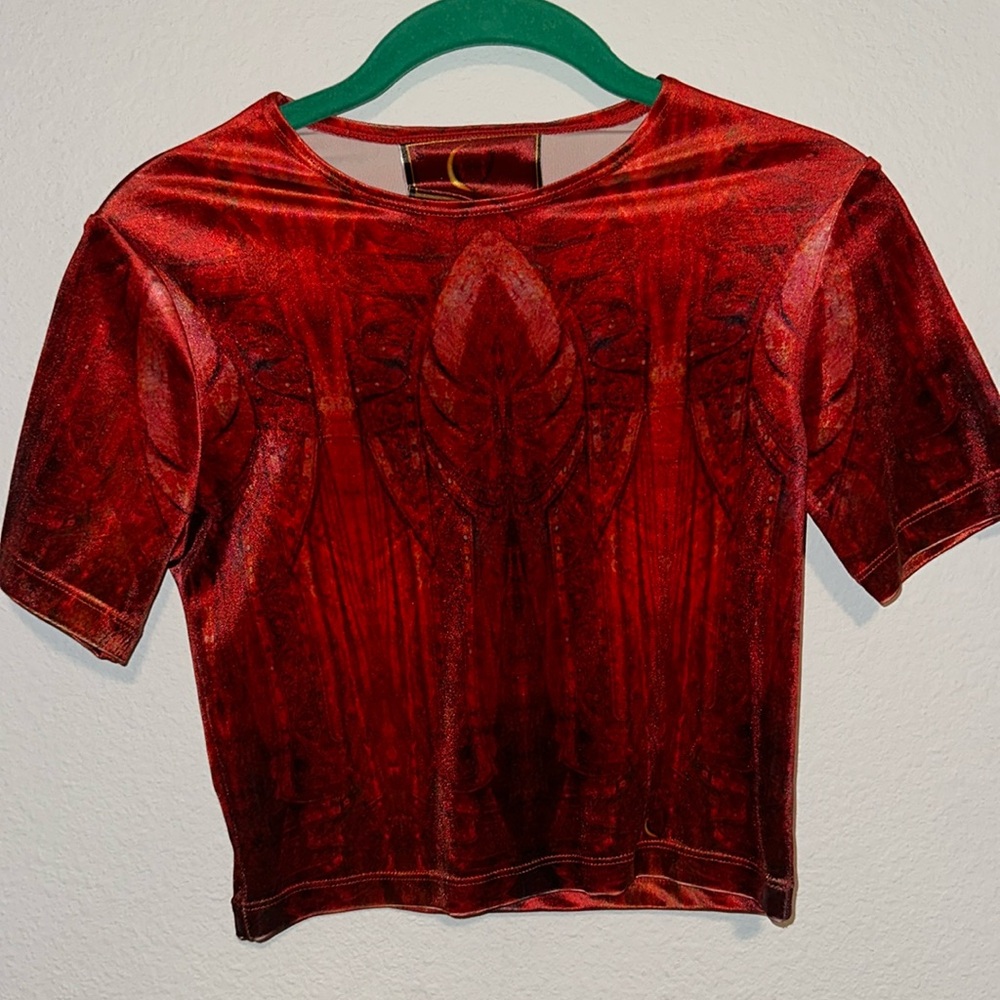 Liberated Heart Velvet Crop Top